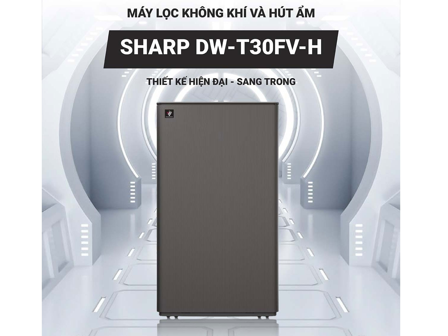 Máy lọc không khí hút ẩm Sharp DW-T30FV-H