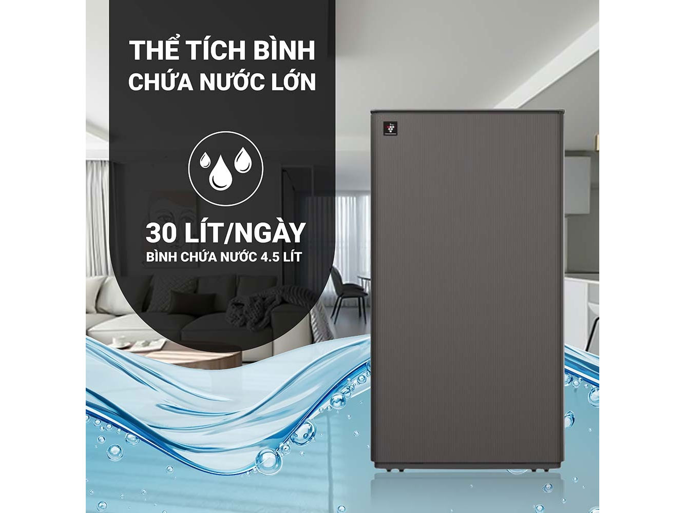 Máy lọc không khí hút ẩm Sharp DW-T30FV-H